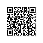 RT1206DRD073K32L QRCode