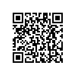 RT1206DRD0740K2L QRCode