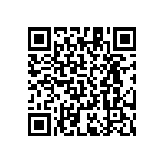 RT1206DRD07412RL QRCode