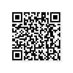 RT1206DRD0747R5L QRCode