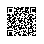 RT1206DRD0791RL QRCode