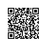 RT1206DRE074K3L QRCode