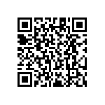 RT1206DRE0795K3L QRCode