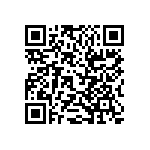 RT1206FRE073K9L QRCode