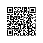 RT1206FRE0741K2L QRCode