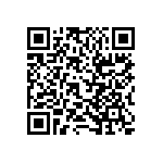 RT1206FRE0743KL QRCode