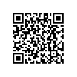 RT1206FRE07487KL QRCode