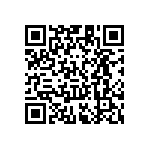 RT1206FRE076K8L QRCode