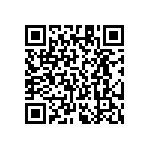 RT1206FRE0778K7L QRCode