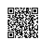 RT1206FRE077R32L QRCode