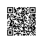 RT1206FRE07910KL QRCode