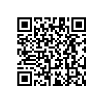 RT1206WRB0713R3L QRCode