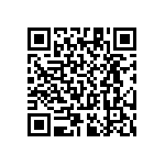 RT1206WRC07300RL QRCode