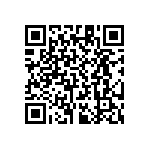 RT1206WRD0733K2L QRCode