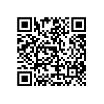 RT1206WRD077K87L QRCode