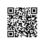 RT2010DKE0743RL QRCode