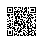 RT2512BKE07487RL QRCode