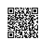 RT2512BKE076K04L QRCode