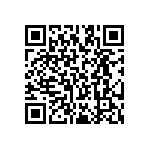 RT2512FKE0795K3L QRCode