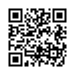 RT9013-33GY QRCode