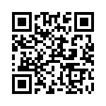 RT9017-20GBR QRCode