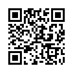 RT9020-1BGB QRCode