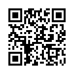 RT9020-32GB QRCode