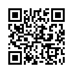RT9041E-10GQW QRCode