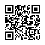 RT9167-30GB QRCode