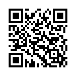 RT9199GSP QRCode