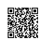 RWR89N95R3FSB12 QRCode