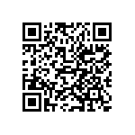 S40410161B1B2I010 QRCode