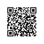 S912XEG384J3VAA QRCode