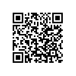 S912XET256J2CAA QRCode