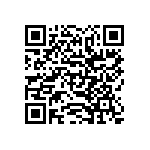 SIT1602BC-31-28E-66-666600Y QRCode