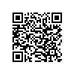 SIT1602BC-33-18S-28-636300X QRCode