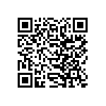 SIT1602BI-33-28N-31-250000T QRCode