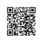 SIT2024BE-S3-33E-20-000000E QRCode