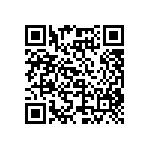 SMBG5347CE3-TR13 QRCode