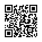 T-100-190 QRCode