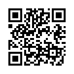 T-175-100 QRCode