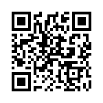 T10B80B QRCode