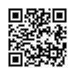 T30704530000G QRCode