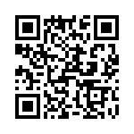 T37065-22-0 QRCode