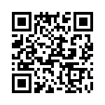 T38000-22-0 QRCode