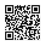 T38000-25-0 QRCode