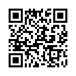 T38002-12-0 QRCode