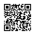 T38011-09-0 QRCode