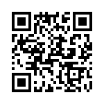 T38012-13-0 QRCode