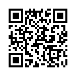 T38013-12-0 QRCode